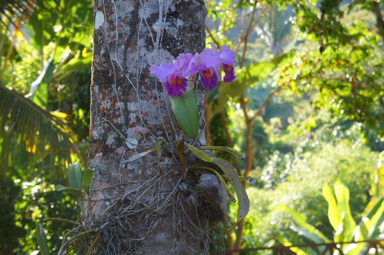 Hotel Cantinho Das Flores Guaramiranga Eksteriør billede